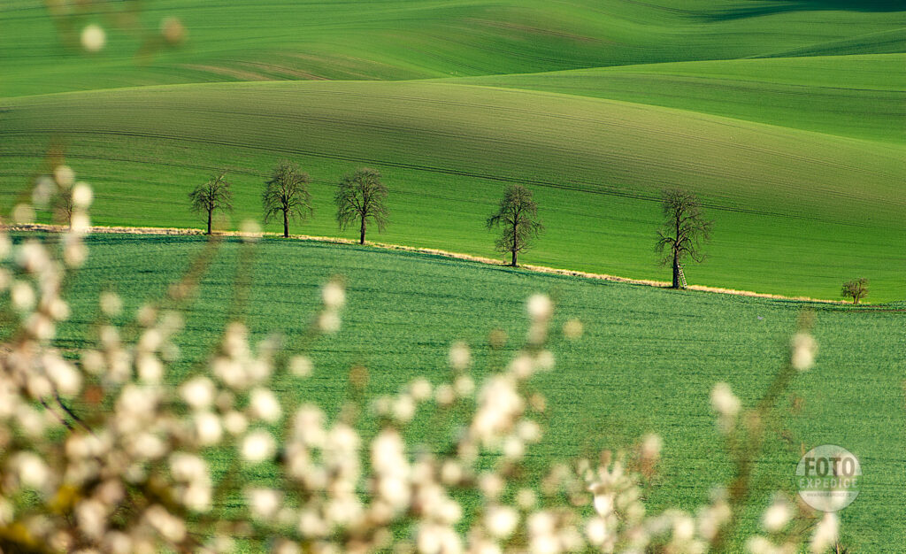 Morava focení Fotoexpedice na jaře Moravské Toskánsko