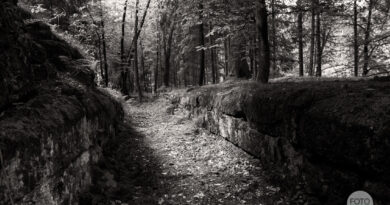 Chřibská akvadukt Českosaské Švýcarsko