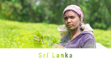 Fotoexpedice Srí Lanka