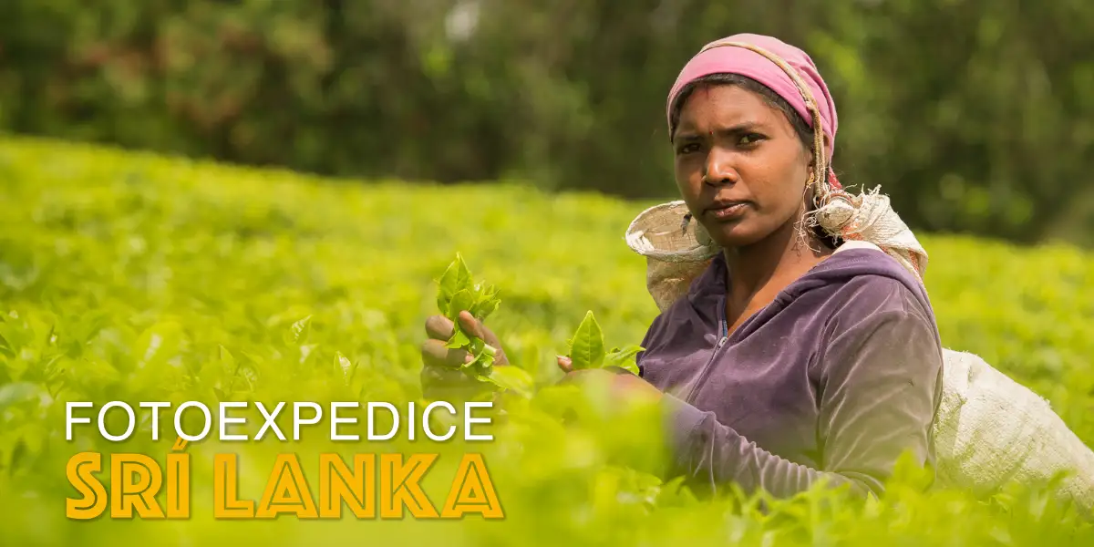 Fotoexpedice Srí Lanka
