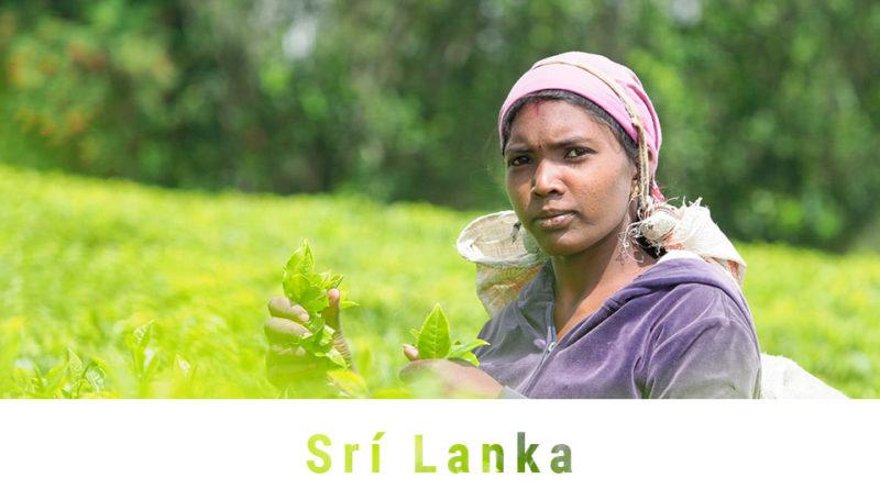 Fotoexpedice Srí Lanka
