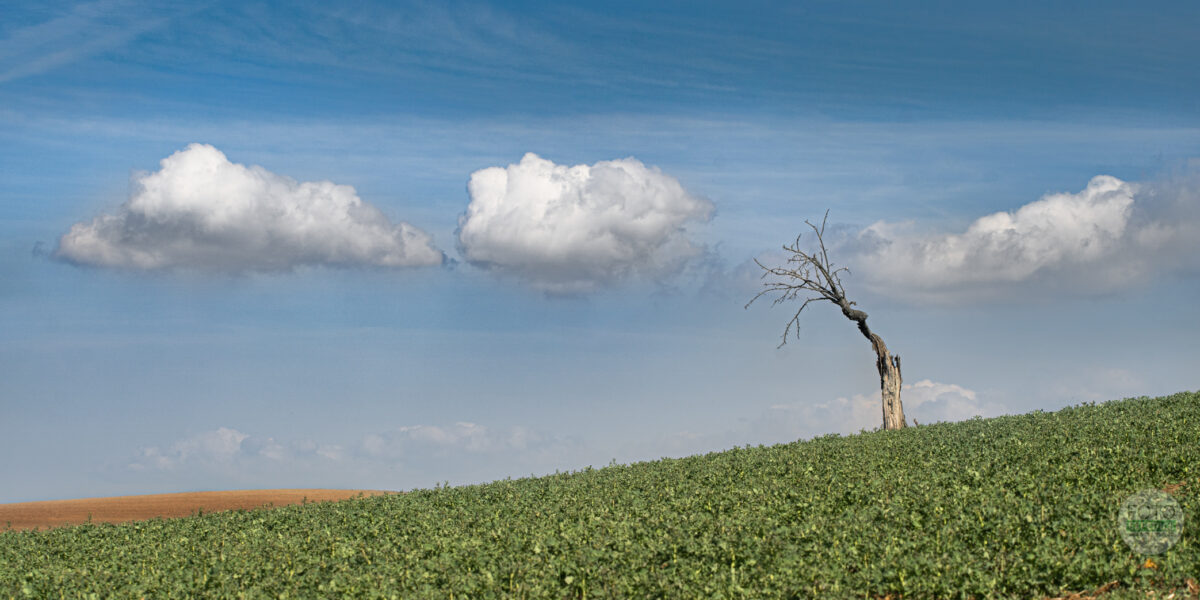 Fotoexpedice Moravské Toskánsko Martin Kamín