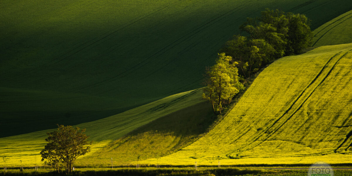 Krajinářské fotografie Fotoexpedice Moravské Toskánsko červen 2021 Martin Kamín