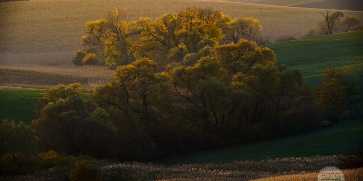 Fotoexpedice Moravské TOskánsko Martin Kamín