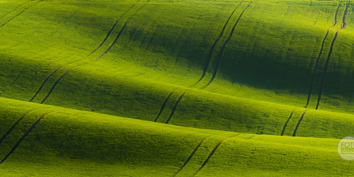 FOTOEXPEDICE 2026 - Martin Kamín