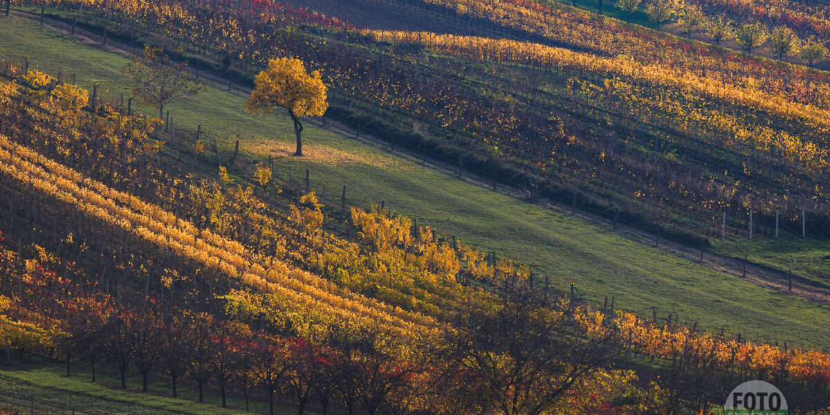 FOTOEXPEDICE MORAVSKÉ TOSKÁNSKO FOTOREPORTÁŽ